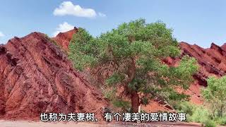 比美国大峡谷还漂亮，新疆温宿托木尔大峡谷，详细的旅游攻略