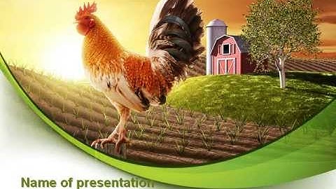 Morning At The Farm PowerPoint Template by PoweredTemplate.com