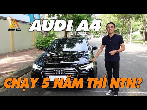 Video: Bao lâu thì Audi a4 cần thay nhớt?