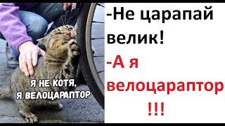 Лютые приколы. -Не царапай велик! -А я велоцараптор