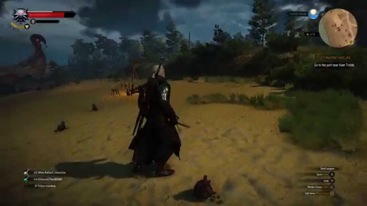 The Witcher 3 Fatality