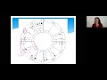 Solar Eclipse in Leo: Find out where eclipse is in your birth chart.