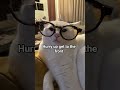 WHAT DOSE THE T IN T-SHIRT STAND FOR ??!!#foryou #fyp #shorts #funny #viral #funnycats #memes