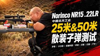 Norinco NR15 Export Model Review: .22LR Small-Bore Rifle 25m and 50m Bulk Ammo Test | Air Rifle |...