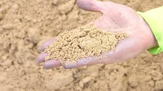 Ace Landscapes Supplies - Sand - White Brickie