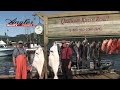 Winter Harbour, BC Halibut, Lingcod, Rockfish & Salmon (Angler West Classic)