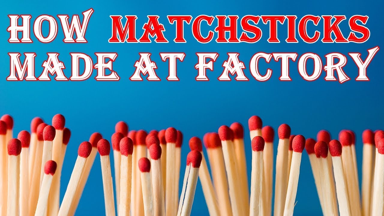 How Matchsticks Made at Factory Matches YouTube