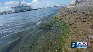 Five dead as Louisiana reports 12 cases of flesh-eating bacteria