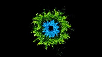 Shockwave No text intro