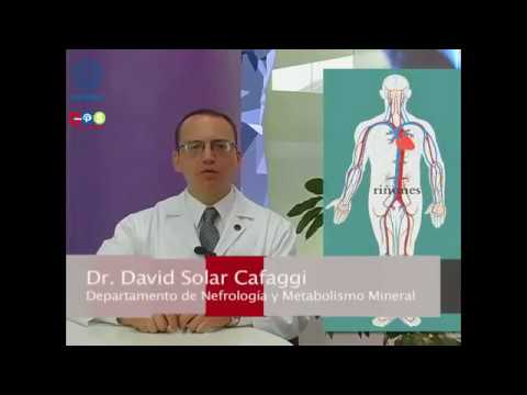 7 Recomendaciones para el cuidado de sus riñones - INCMNSZ - Educación para la Salud