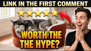 Luxury Dog Couch Bed for Large Dogs Under 80lbs That Looks Like Real Furniture