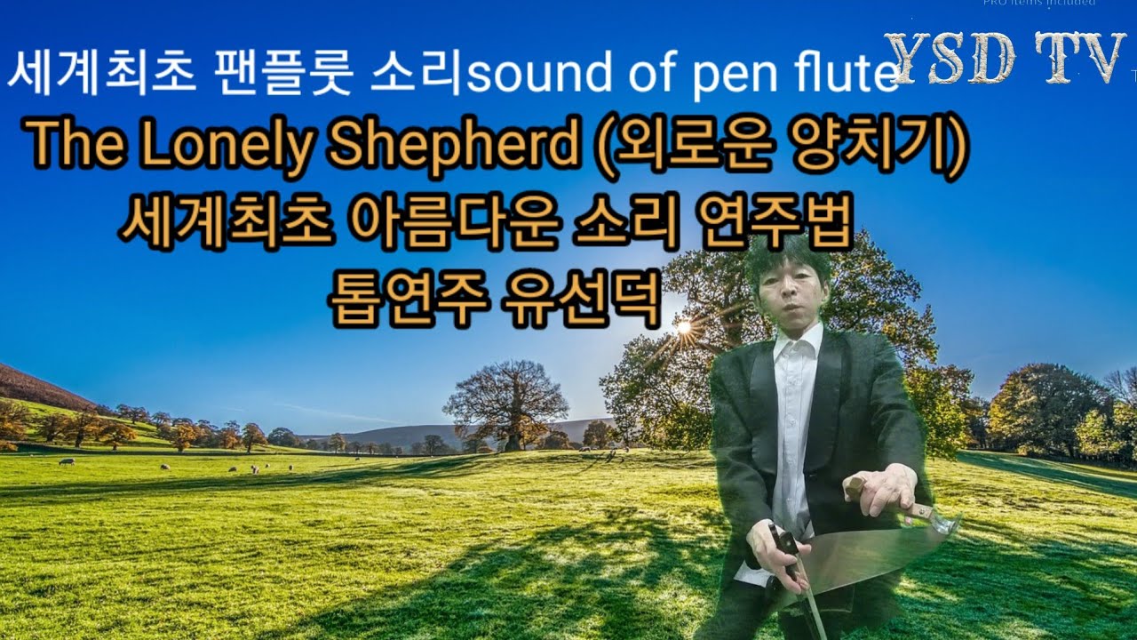 sounds like a pan flute Musical saw 팬플룻 같은 소리 The Lonely Shepherd (외로운