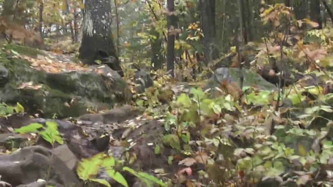 Trout Creek Michigan Vistas of the U.P in Late October Part 1 of 2 (HD 720p) YouTube