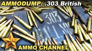 'The Ammo Dump' Epsiode 2: Let's talk about 303 Brit