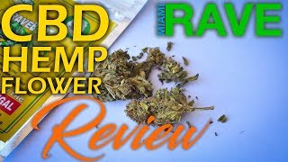 |Miami Rave| CBD Hemp Flower Review [Harlequin]