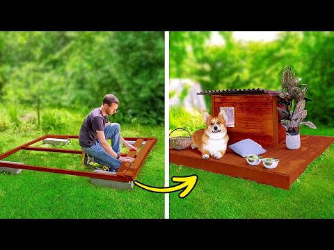 Vídeo: 5 Cool Home Products para animais de estimação e amantes do animal de estimação