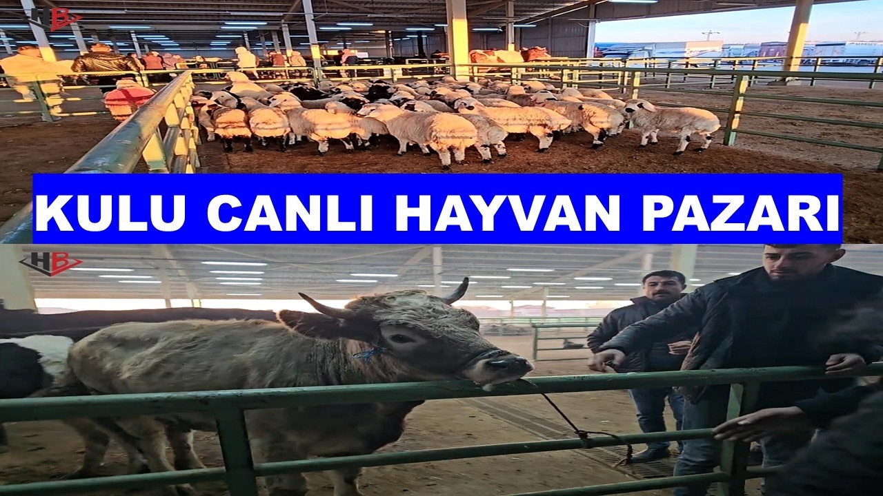 KULU CANLI HAYVAN PAZARI