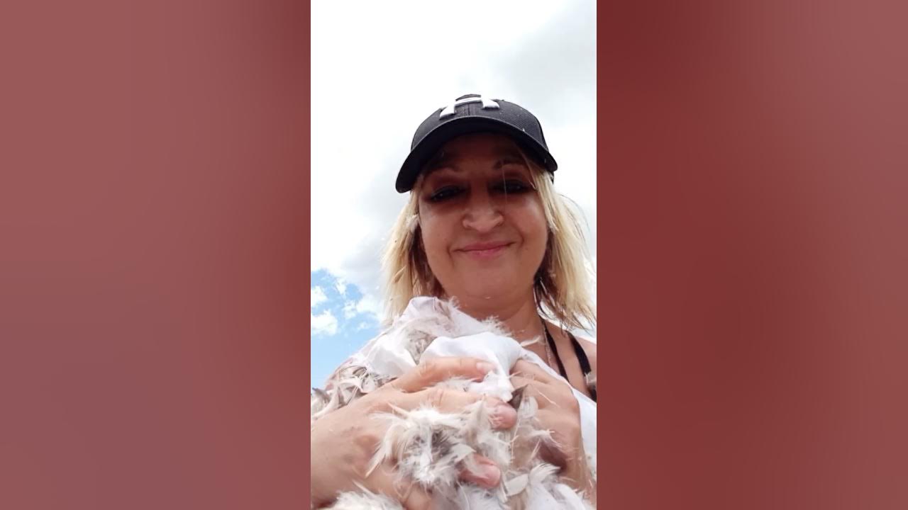 pillow ripping pillow fight pillow play pillow stab YouTube