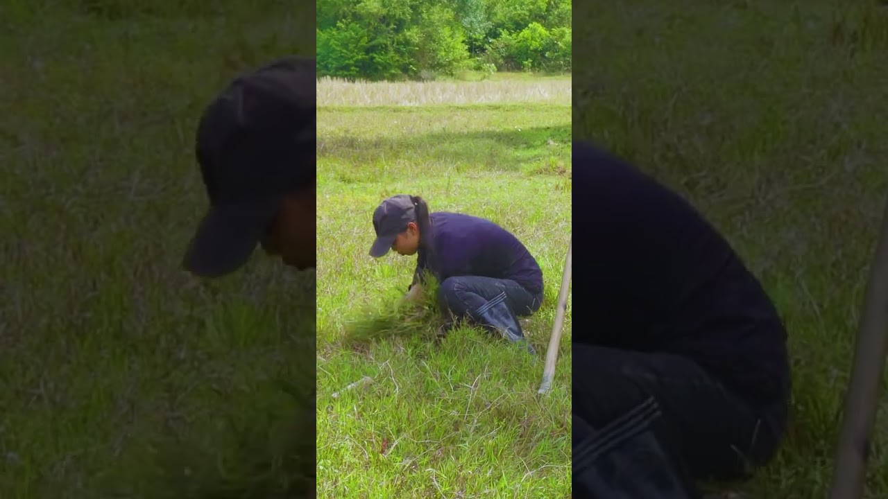 Girl Living Off Grid Alone built a dugout in the forest Start to finish