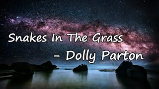 Dolly Parton - Snakes In The Grass  lyrics