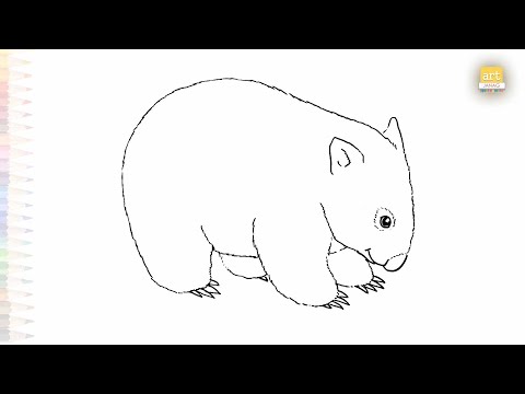 Wombat easy drawing