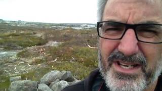 Bayers Lake clearcut, part 1