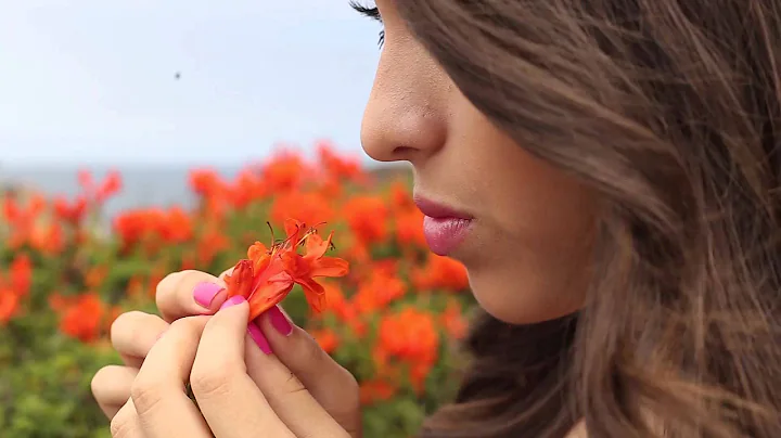 Brenda Rangel Video Clip by AVM Productions
