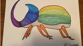 Drawing a Beetle