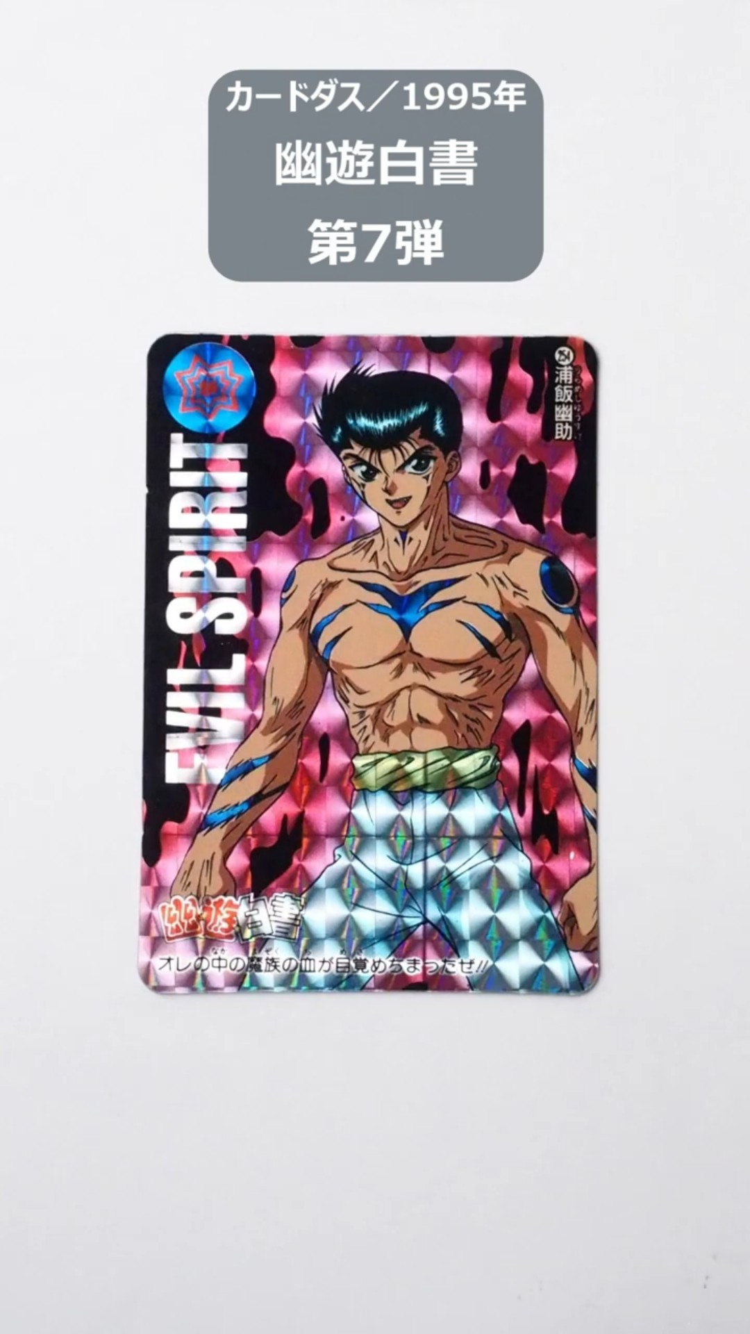 幽遊白書 カードダスステーション システムファイル 1弾〜7弾 カードダス 本弾 幽遊白書 カードダスステーション システムファイル 1弾〜7弾