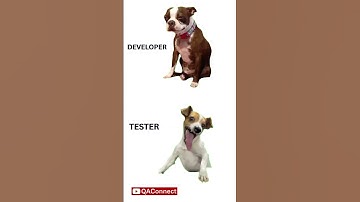 Developer vs Tester 😂 | QA Meme Shorts