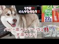 犬 オムツ 作り方 ヒート（生理）用、介護用オムツを人用オムツパンツから作る方法 簡単にハンドメイド・大型犬用