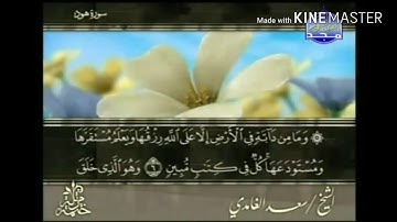 سورة هود - من آية ( ٦ ) إلى آية ( ١٢ ) - للقارئ : سعد الغامدي .
