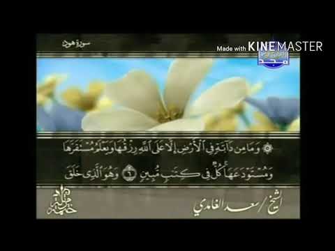 سورة هود من آية ٦ إلى آية ١٢ للقارئ سعد الغامدي