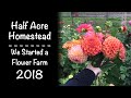 We Started a Flower Farm: Smallholding Diversification in the UK.