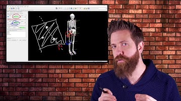 Visual3D Basics for Xsens - How segments are defined