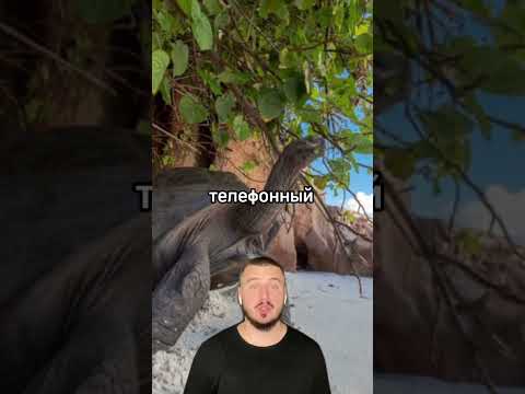 Хотите свой остров?