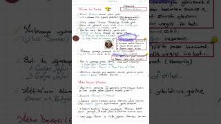 KPSS 2026 Tarih: Avrupa Hun, Akhunlar ve 1. Göktürk Devleti KPSS – TYT – AYT Tarih #ayttarih #yks