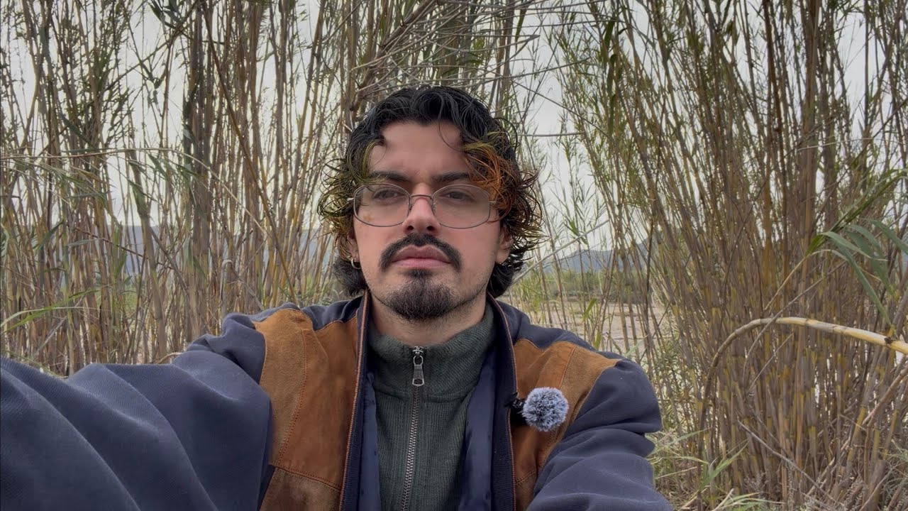 WHO IS WATCHING YOU?! Pick a Card Timeless Tarot Reading 