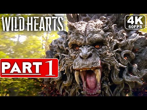 Wild Hearts (видео)