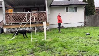 Jump Foundations 1 Lesson 1 - Set Point Jump