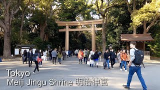 【4K Japan Walk】Tokyo Walk. Meiji Jingu Shrine 明治神宮