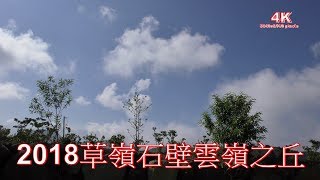 (4K) 2018雲嶺之丘Yunling Hill-雲林草嶺石壁.香水合歡-粉撲花 ...