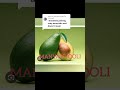OKULOOTA NGA OLONDA WOVA KEDDO DREAM ABOUT AVO CADDO 07 62 41 30 13 OKULOOTA NGA OLONDA WOVA KEDDO DREAM ABOUT AVO CADDO 07 62 41 30 13