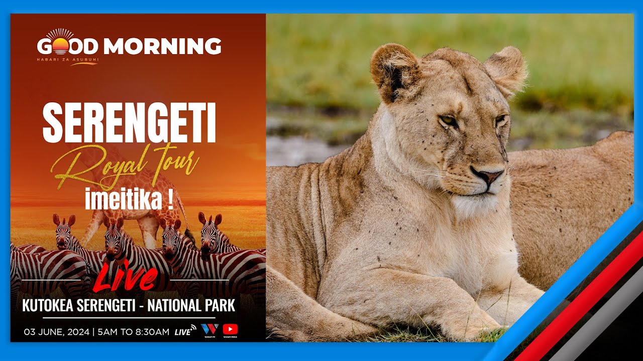 🔴#LIVE: GOOD MORNING YA WASAFI FM TOKEA HIFADHI YA TAIFA YA SERENGETI ...