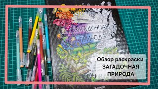 Обзор раскраски Загадочная природа от издательства Бомбора