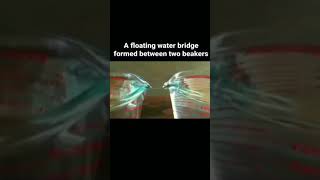 Floating Water Bridge Between Beakers