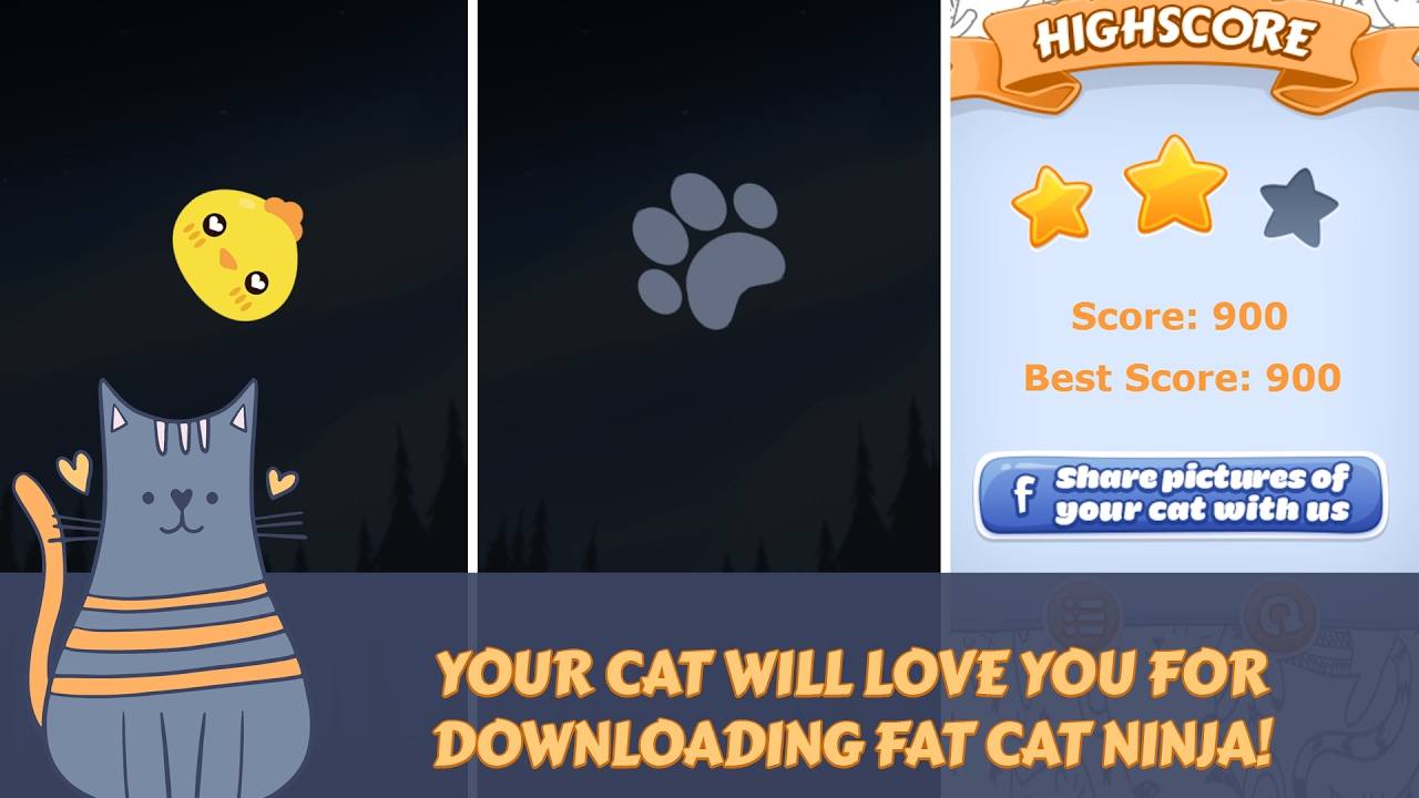 APP fat cat ninja game for cats YouTube