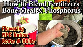 How to Blend a Root & Bulb Organic Fertilizer: NPK Ratios, Phosphorous, Benefits & Use