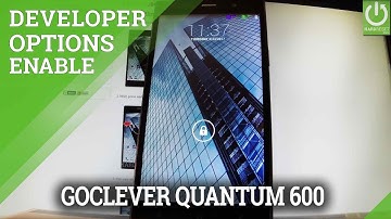 How to Enable Developer Options in GOCLEVER Quantum 600