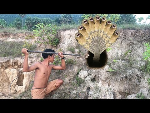 Amazing Brave Boy Catches Very Big Snake In Hole By Digging Deep Hole Snake